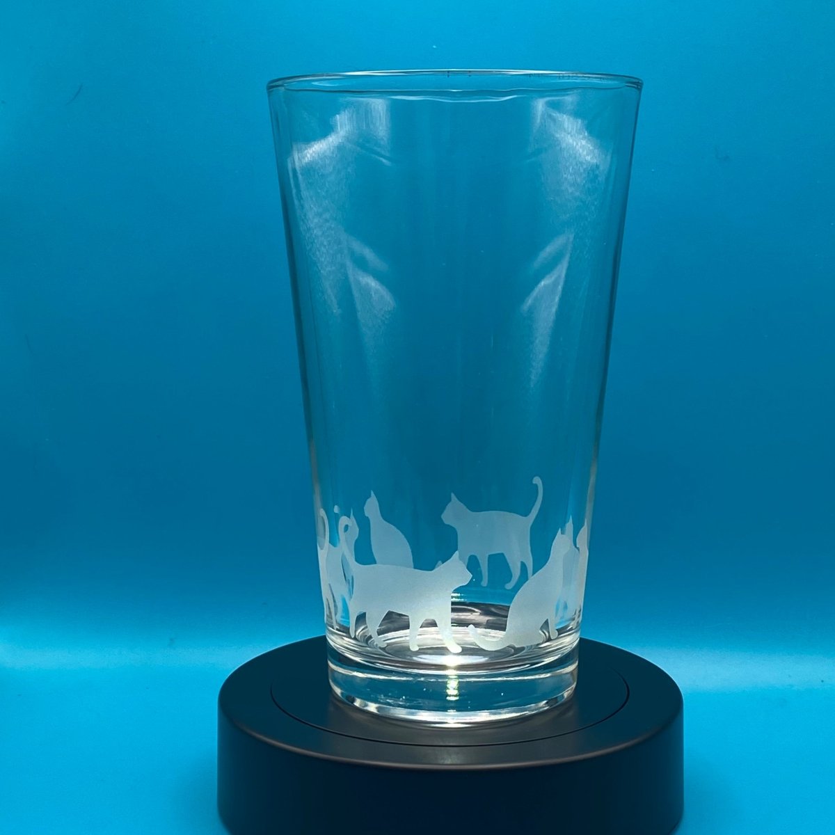 Animal Drinkware - Cat Band Design - Crosby Girls Crafts