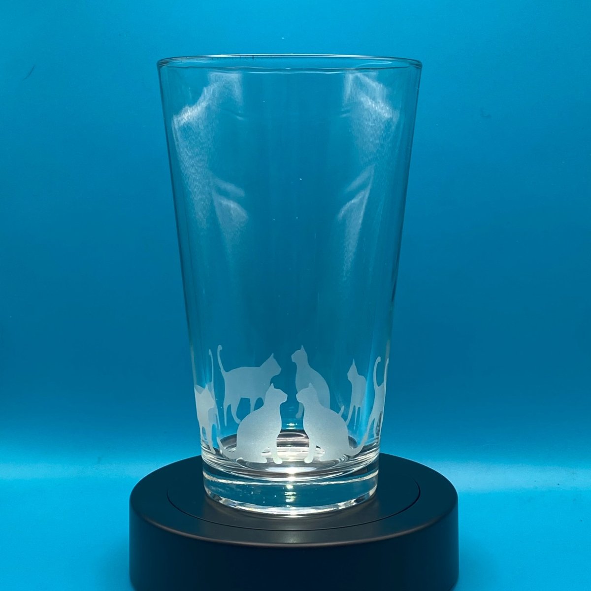 Animal Drinkware - Cat Band Design - Crosby Girls Crafts