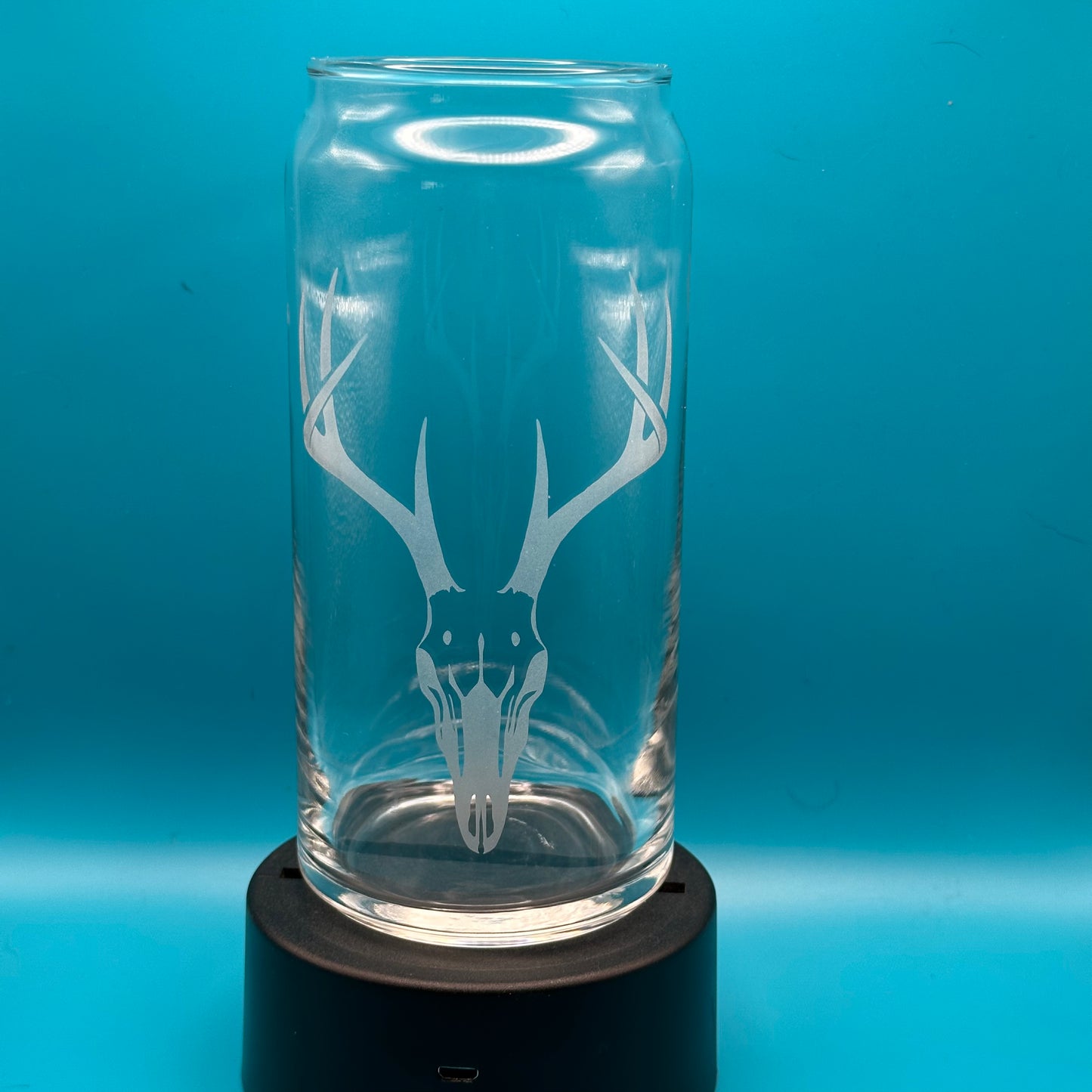 Mule Deer Skull
