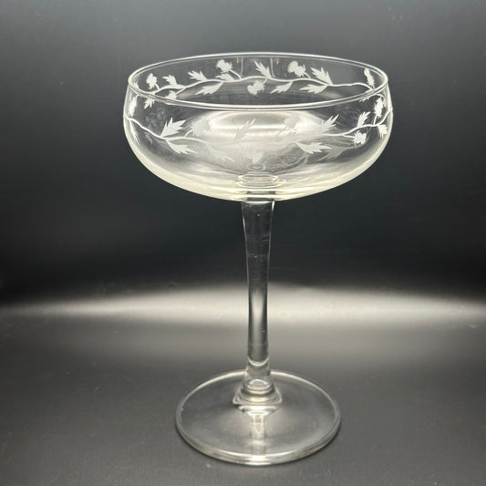 Thistle Champagne Coupe
